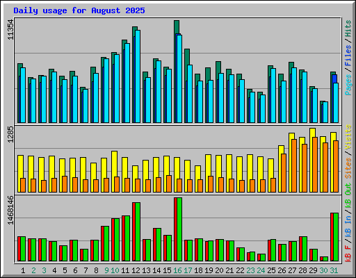 Daily usage for August 2025
