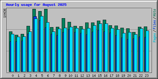 Hourly usage for August 2025