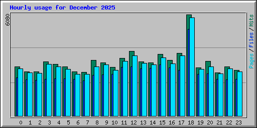 Hourly usage for December 2025